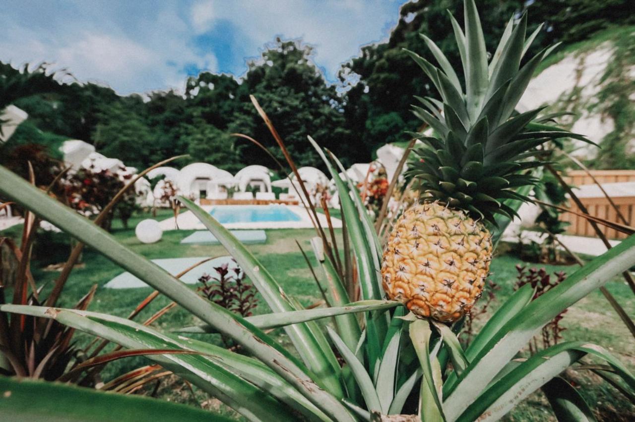 Igloo Beach Lodge Manuel Antonio Εξωτερικό φωτογραφία
